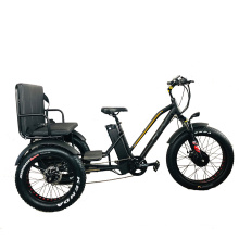 24-20inch Big Power Customized OEM USA 48V 21ah 750W Bafang Front Motor Cheaper Electric Fat Tire Tricycle